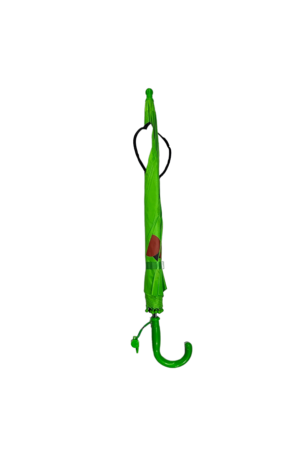 Froggy Friend Umbrella