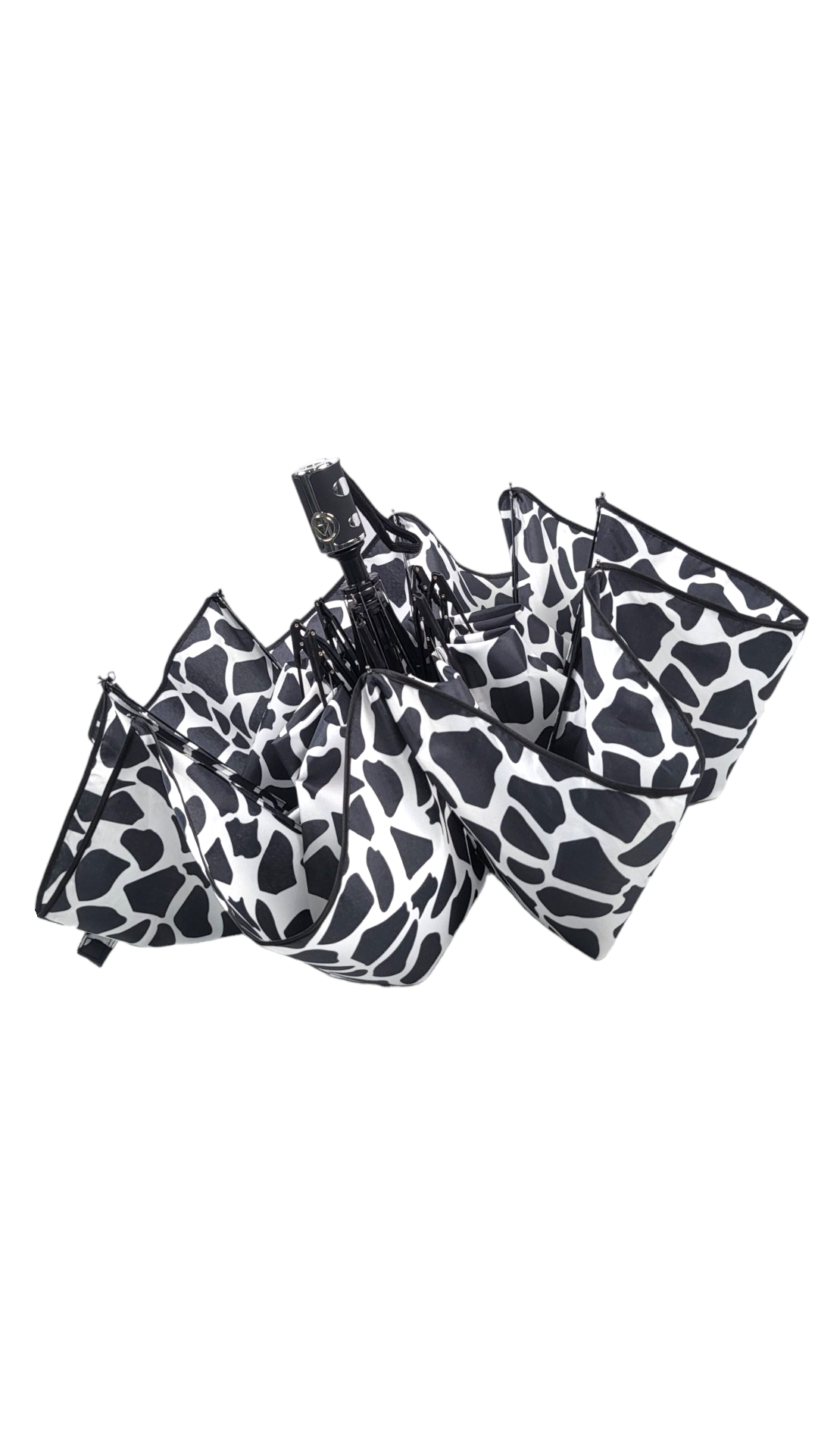 Zebra Zephyr Umbrella