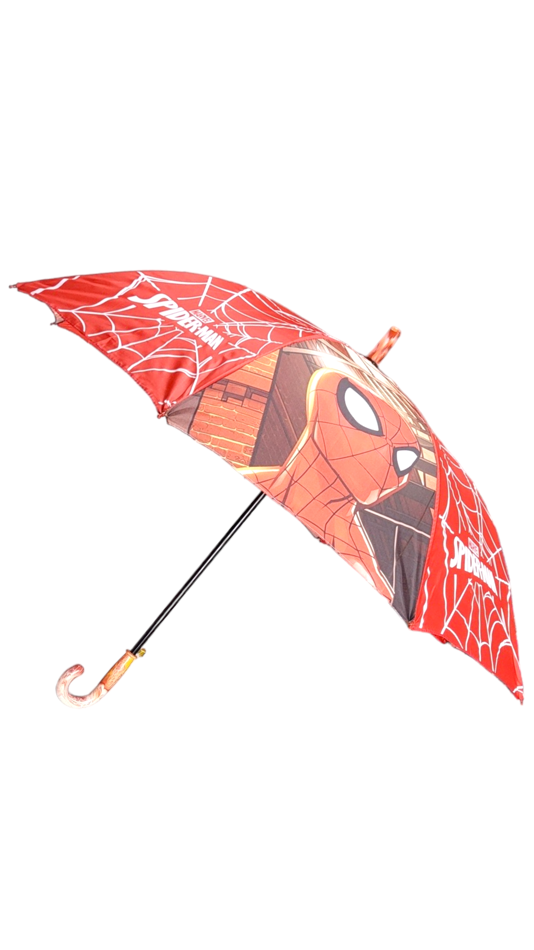 Spider Web Walker Umbrella