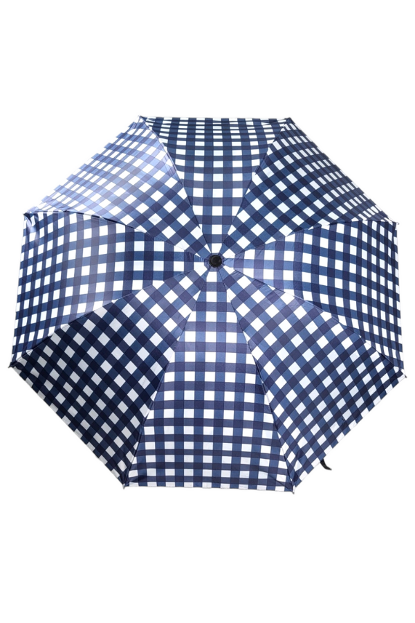 Blue Checkered Umbrella