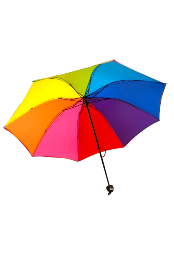 Rainbow Umbrella