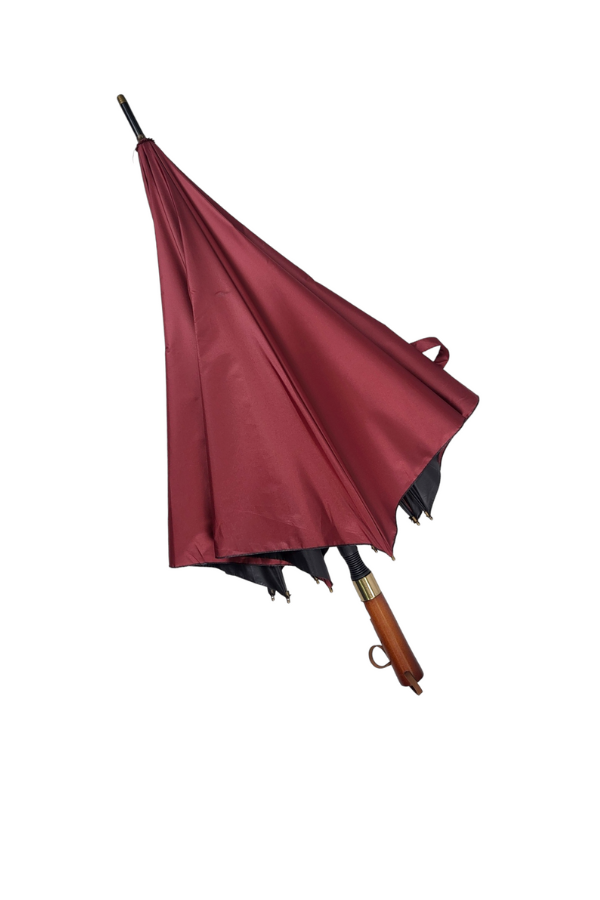 Metallic red Umbrella