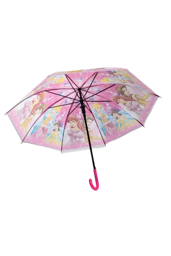 DisneyLand Umbrella