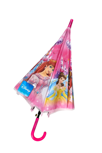 DisneyLand Umbrella