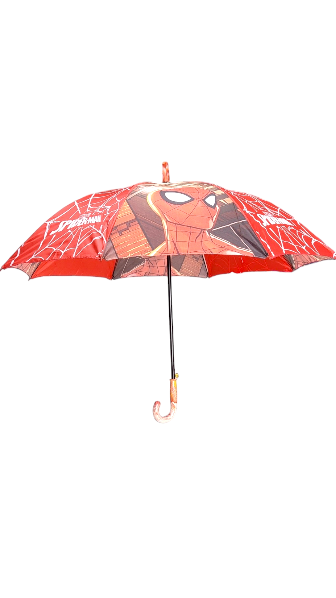 Spider Web Walker Umbrella