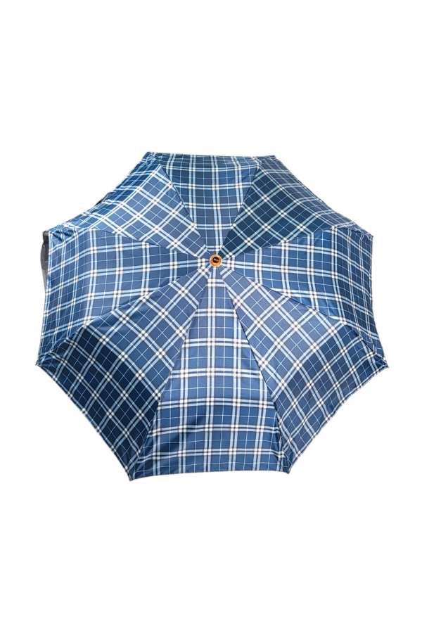 Blue Checkered Umbrella