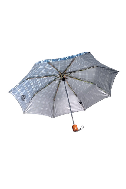 Blue Checkered Umbrella