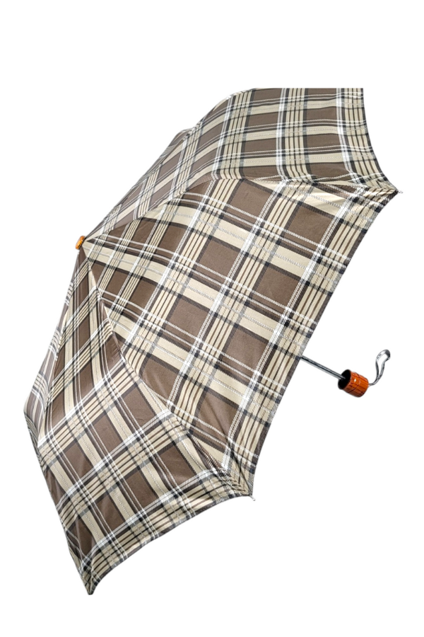 Blue Checkered Umbrella